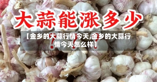 【金乡的大蒜行情今天,金乡的大蒜行情今天怎么样】