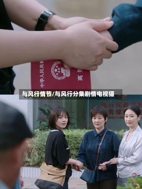 与风行情节/与风行分集剧情电视猫