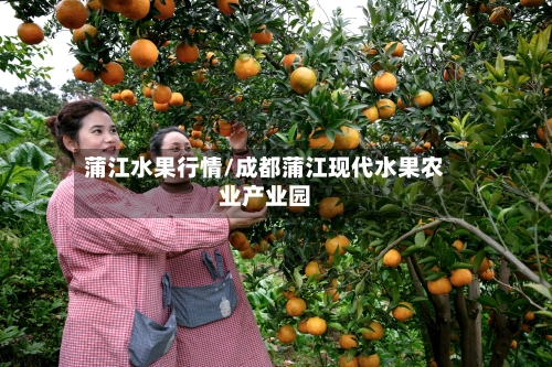 蒲江水果行情/成都蒲江现代水果农业产业园-第2张图片