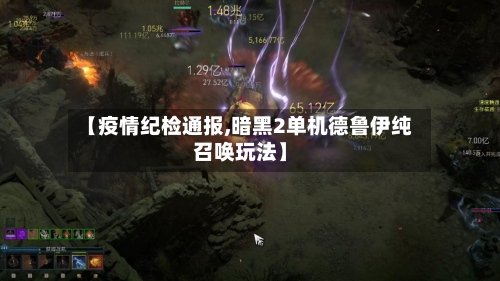 【疫情纪检通报,暗黑2单机德鲁伊纯召唤玩法】-第1张图片