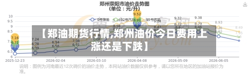 【郑油期货行情,郑州油价今日费用上涨还是下跌】-第3张图片