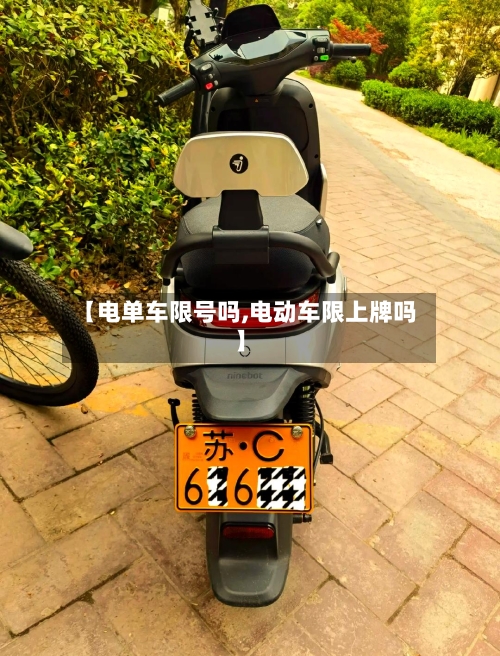 【电单车限号吗,电动车限上牌吗】-第1张图片