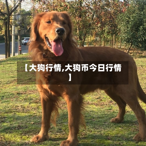 【大狗行情,大狗币今日行情】-第3张图片