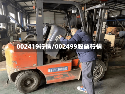 002419行情/002499股票行情-第3张图片