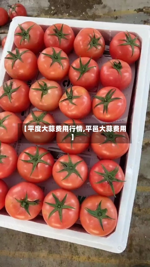 【平度大蒜费用行情,平邑大蒜费用】-第1张图片