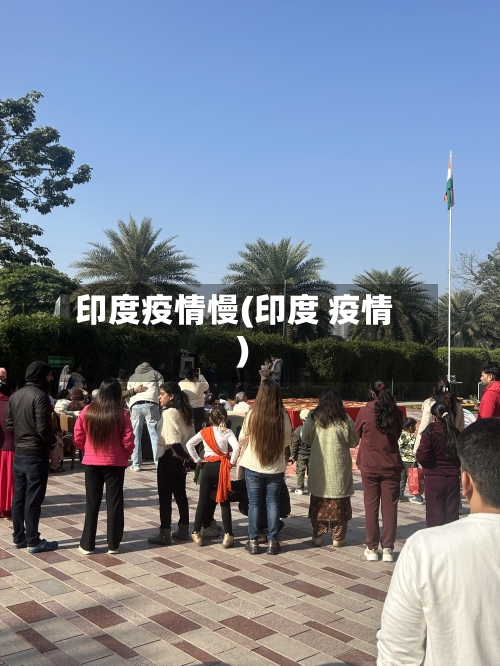 印度疫情慢(印度 疫情)-第3张图片